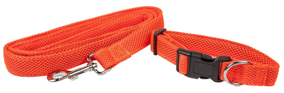 Orange dog leash and collar set with metal clip on a white background
