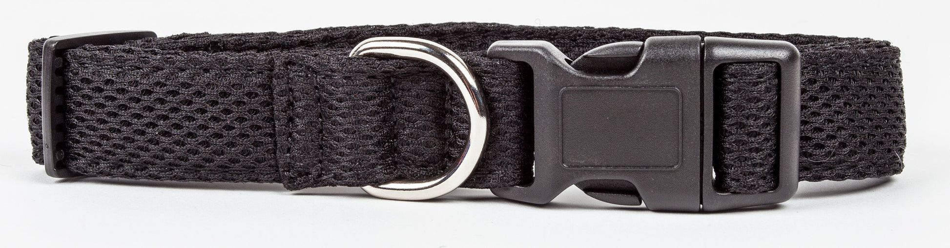 Black dog collar with metal buckle on a white background