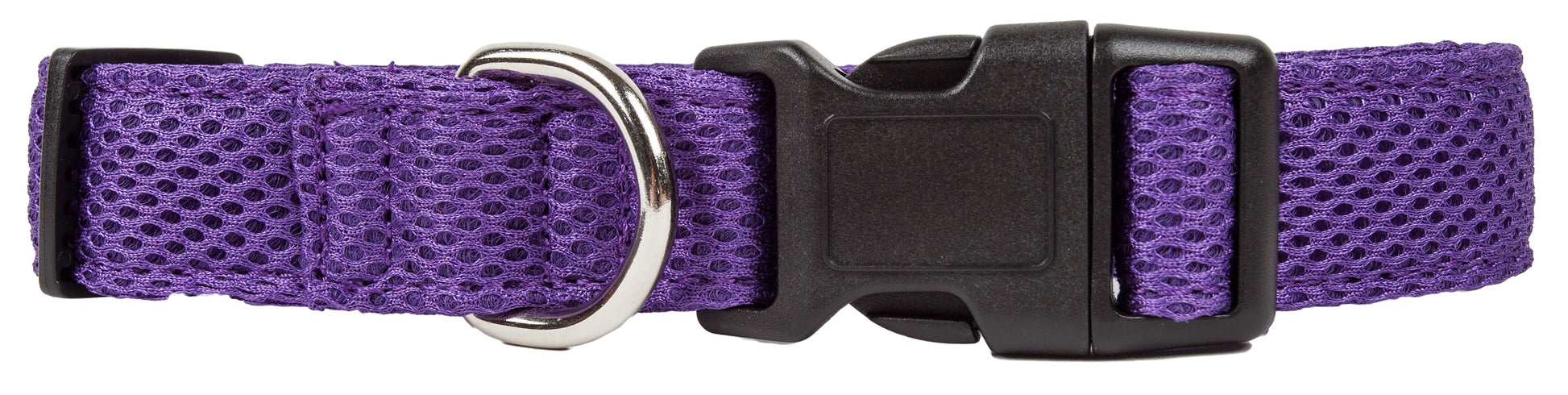 Purple dog collar with a metal buckle on a white background