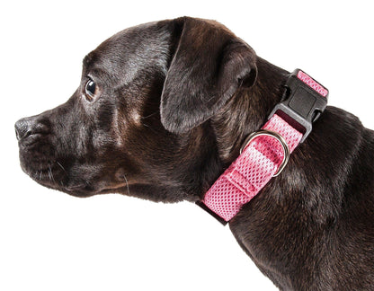 Black dog wearing a pink collar on a white background