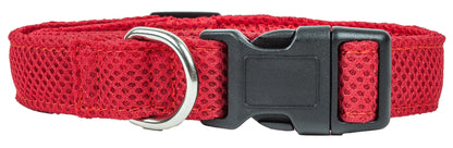 Red dog collar with a metal buckle on a white background