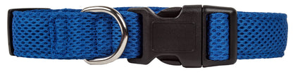 Blue dog collar with a black buckle on a white background