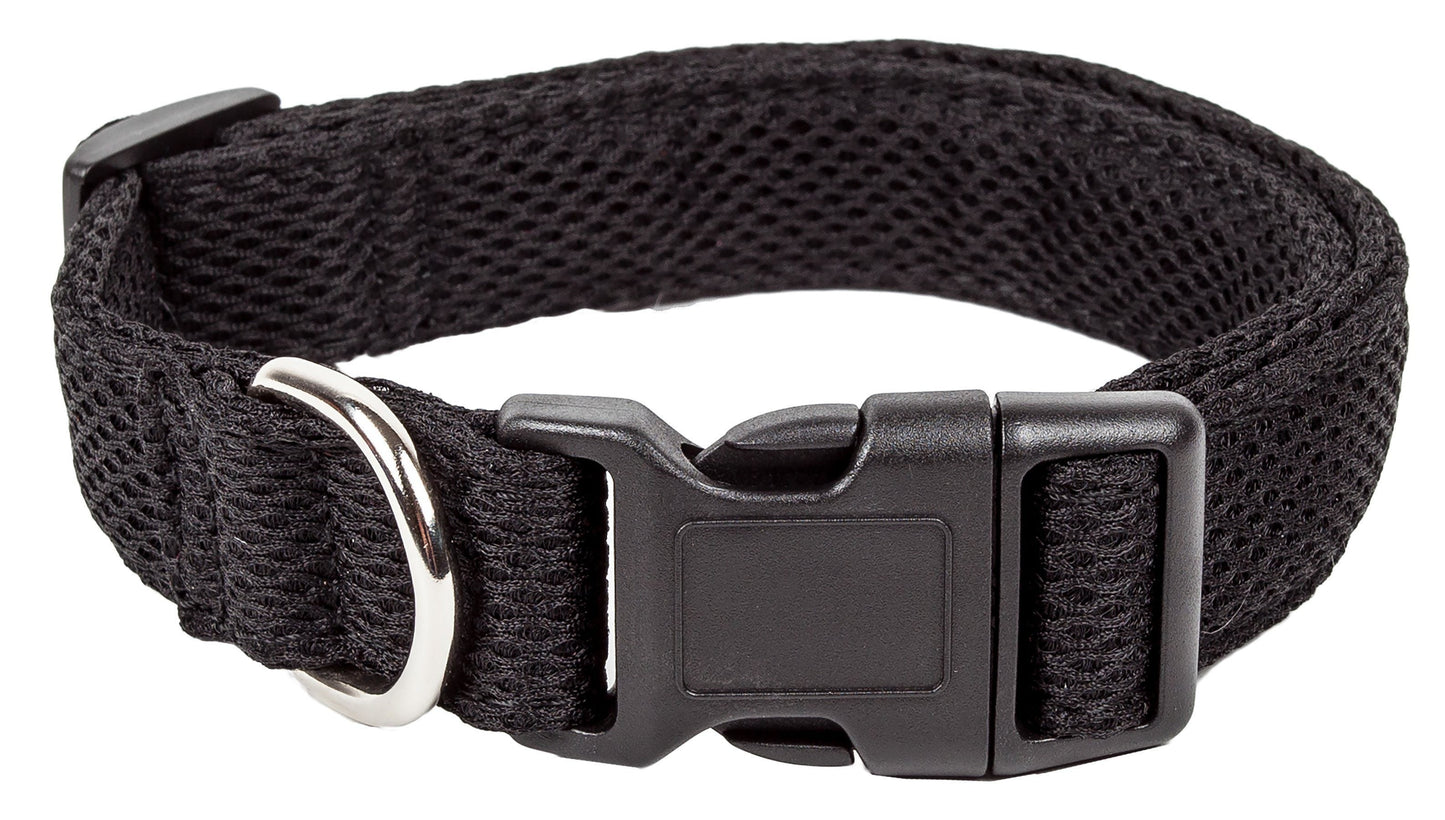 Black dog collar with a metal buckle on a white background