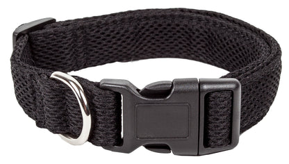 Black dog collar with a metal buckle on a white background