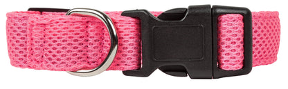 Pink dog collar with a black buckle on a white background
