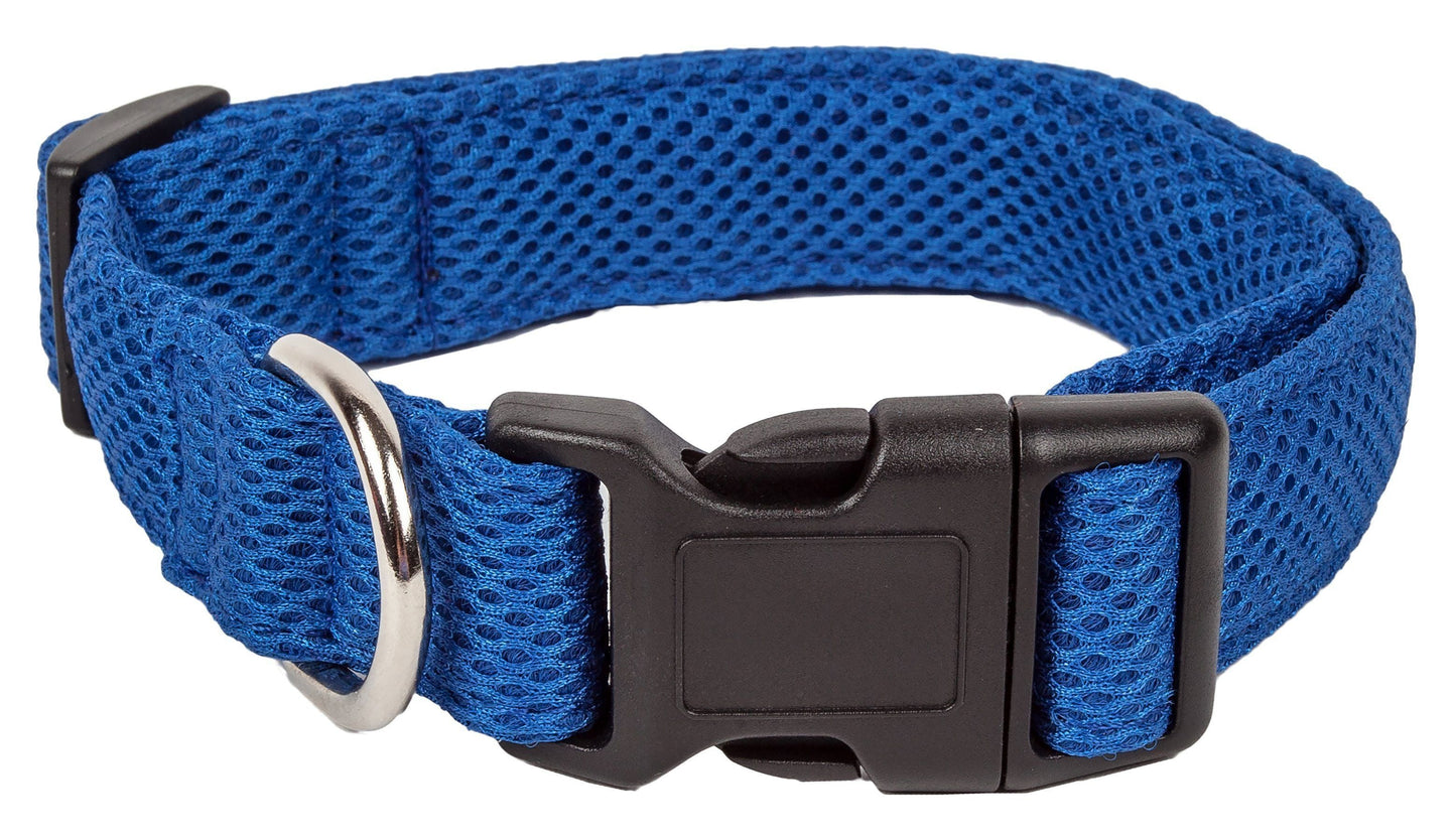 Blue dog collar with a black buckle on a white background