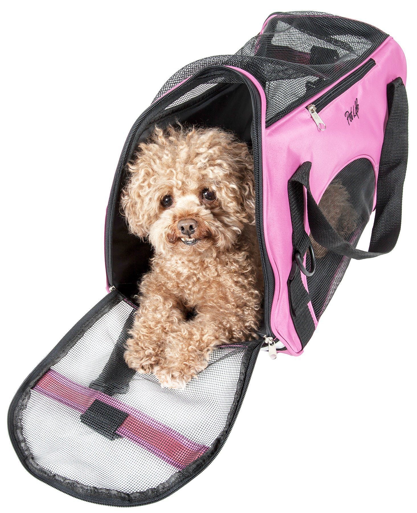 Small dog inside a pink and black pet carrier on a white background