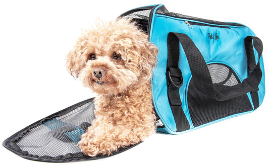 Small dog inside a blue pet carrier on a white background