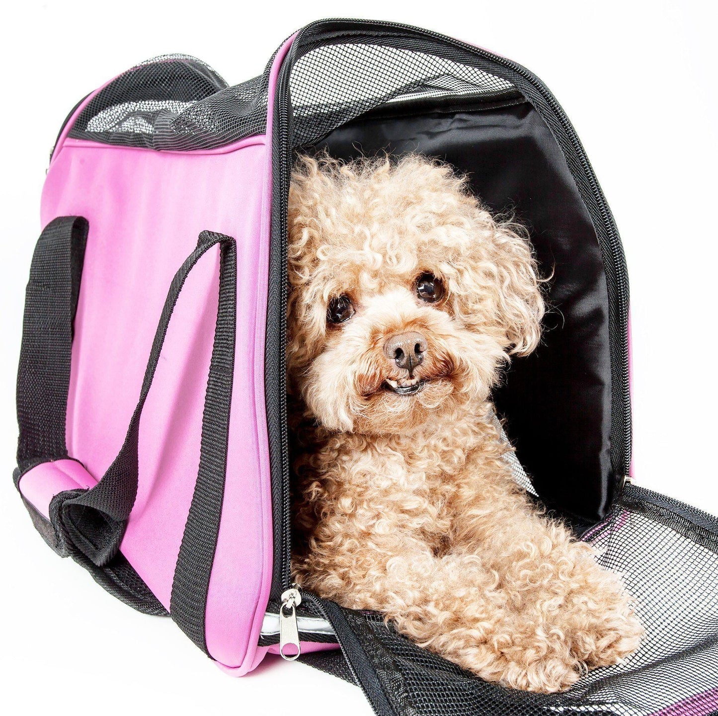 Small dog sitting inside a pink pet carrier with a white background