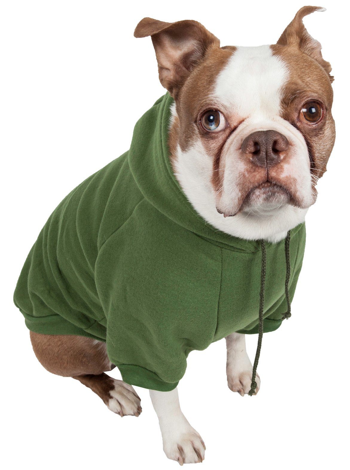 Dog wearing a green hoodie on a white background