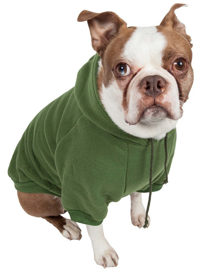 Dog wearing a green hoodie on a white background