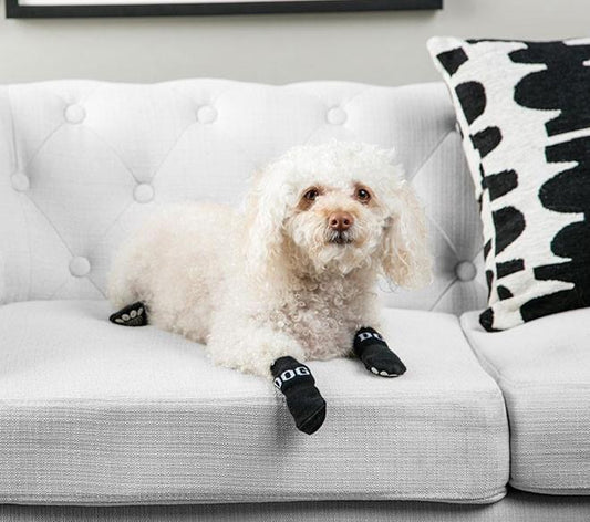 White dog wearing black dog boots sitting on a white couch with a black and white pillow.