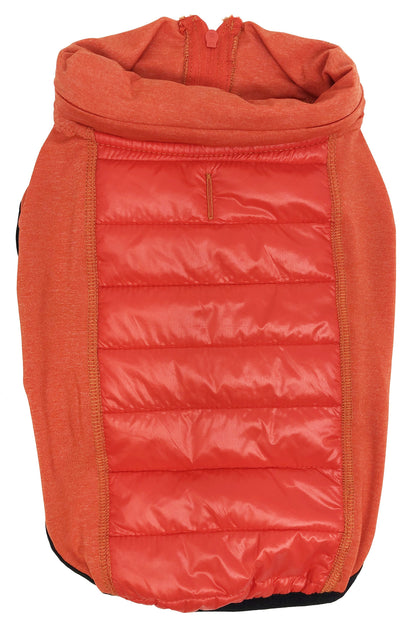 Orange puffer dog coat on a white background