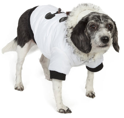 Dog wearing a white costume with black accents on a white background