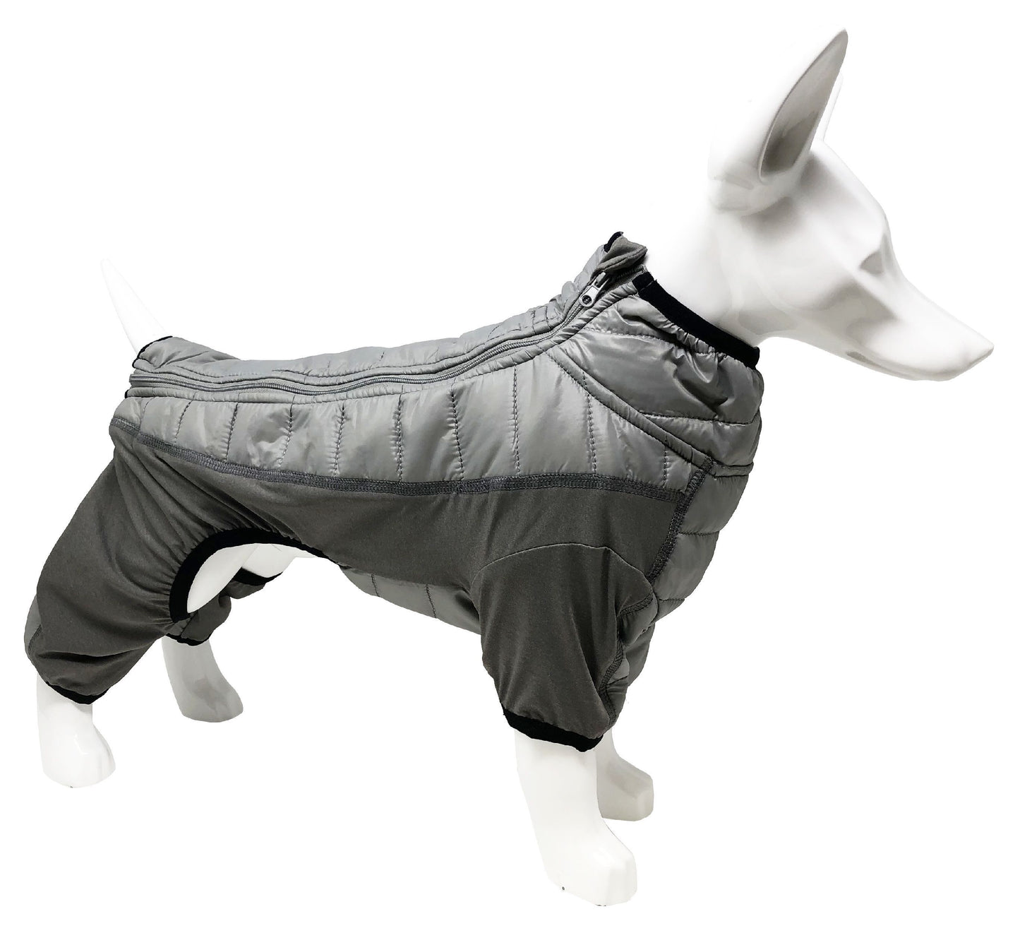 Dog wearing a gray winter coat on a white background