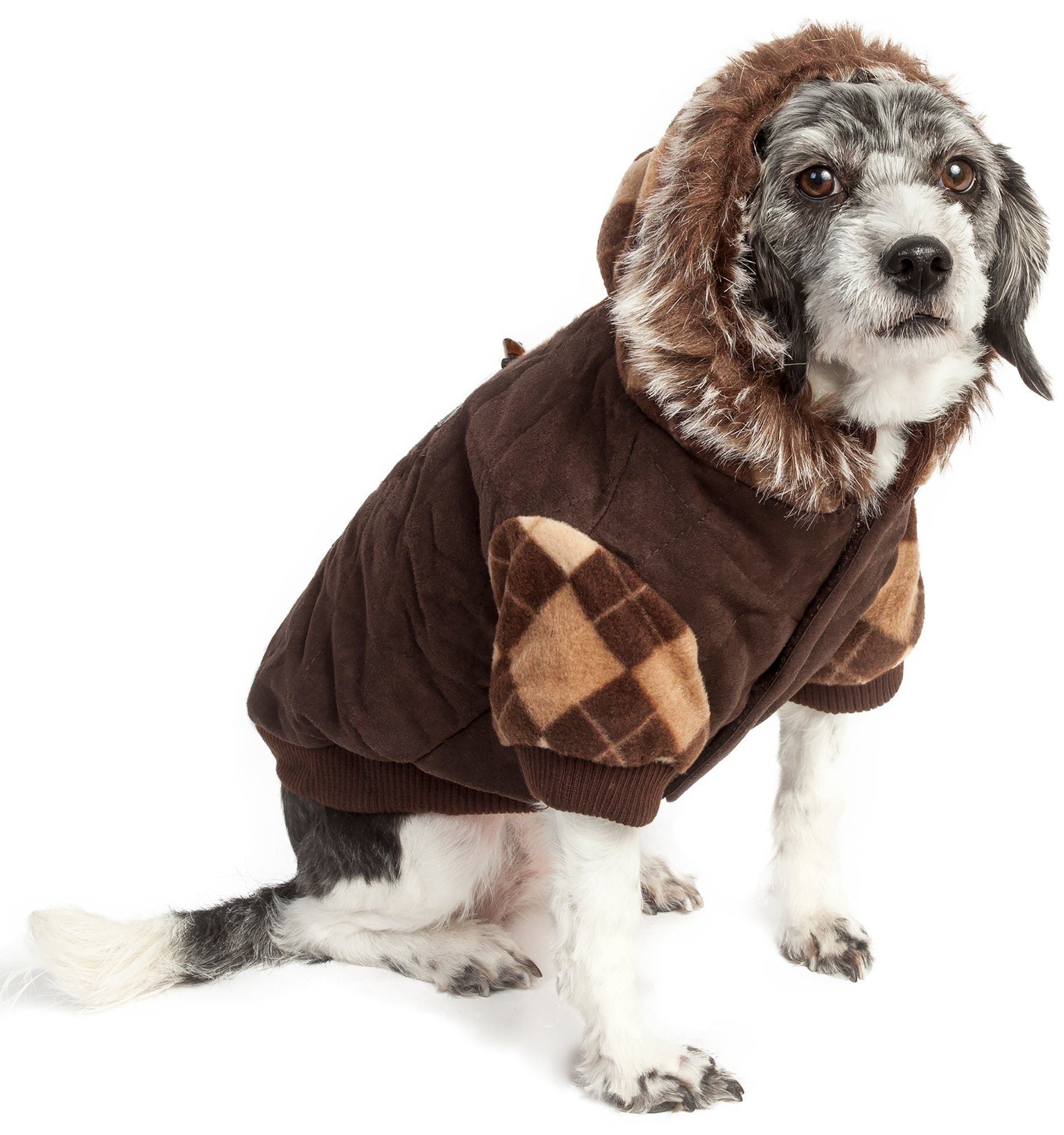 Dog wearing a brown hoodie with plaid pattern on a white background