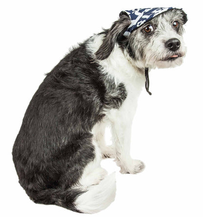 Dog wearing a bandana on a white background