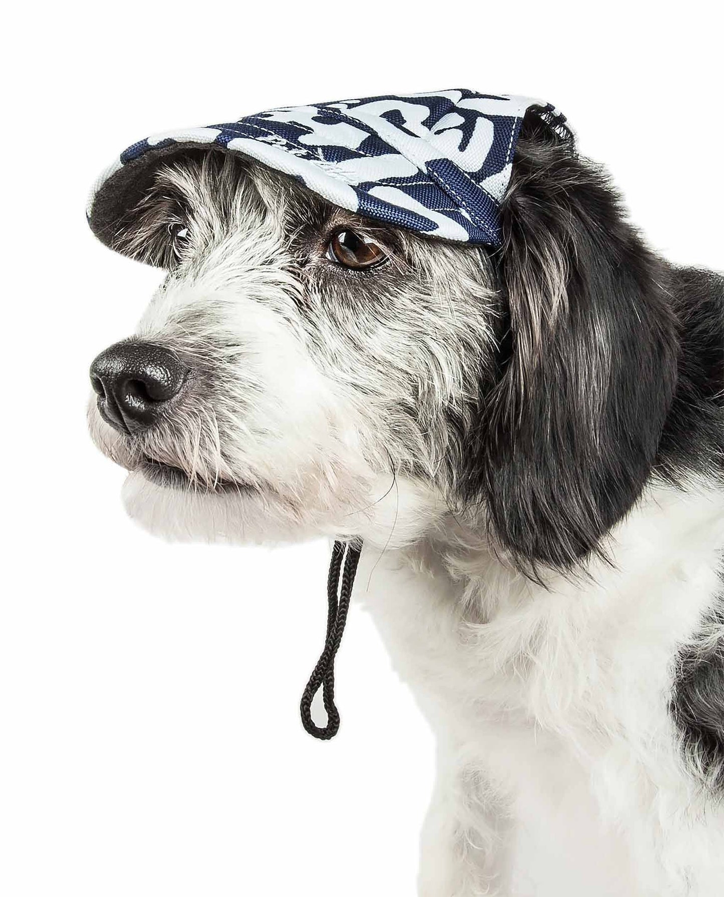 Dog wearing a bandana with a white background