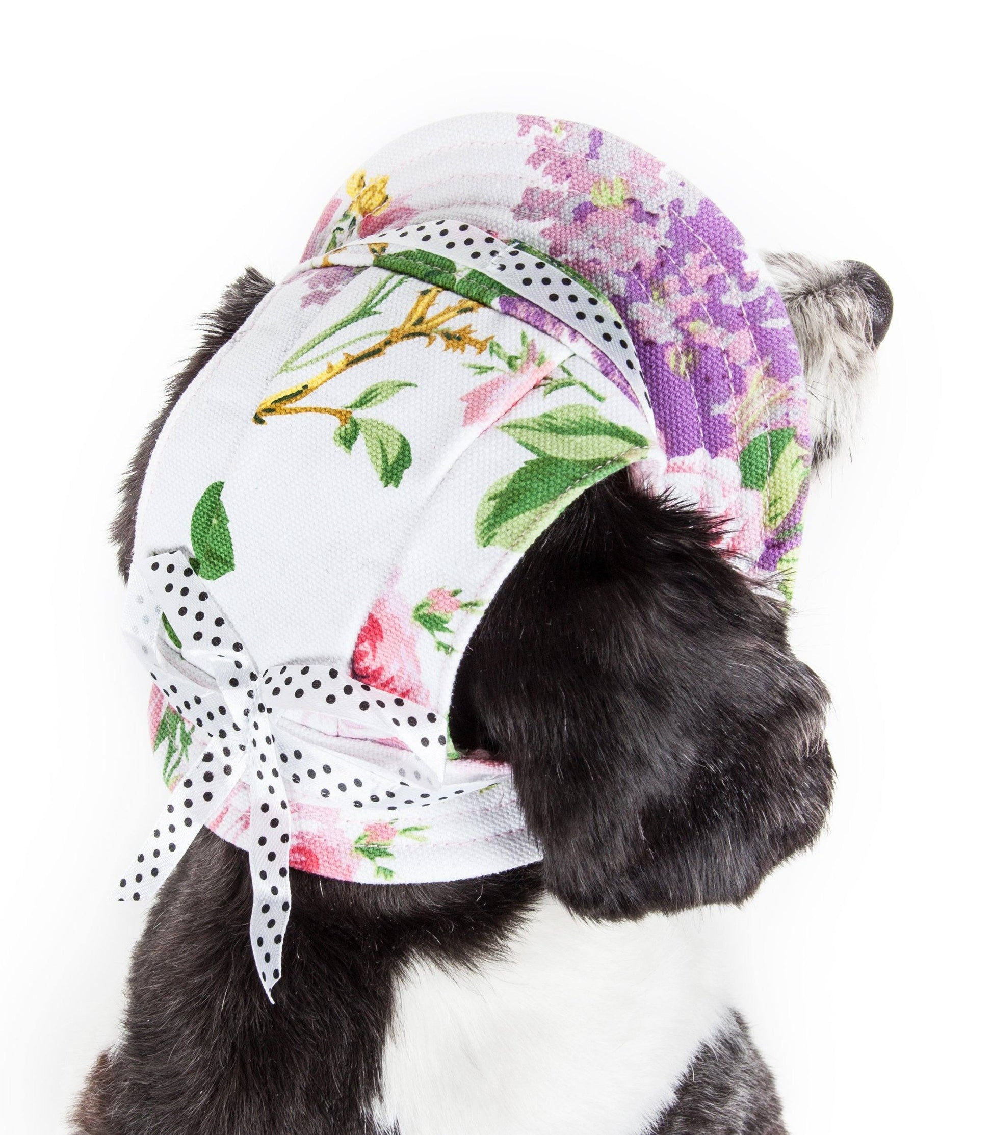 Dog wearing a floral bandana with a white background