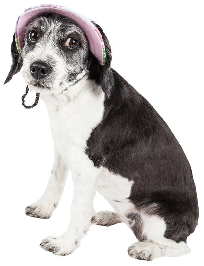 Dog wearing a pink helmet on a white background