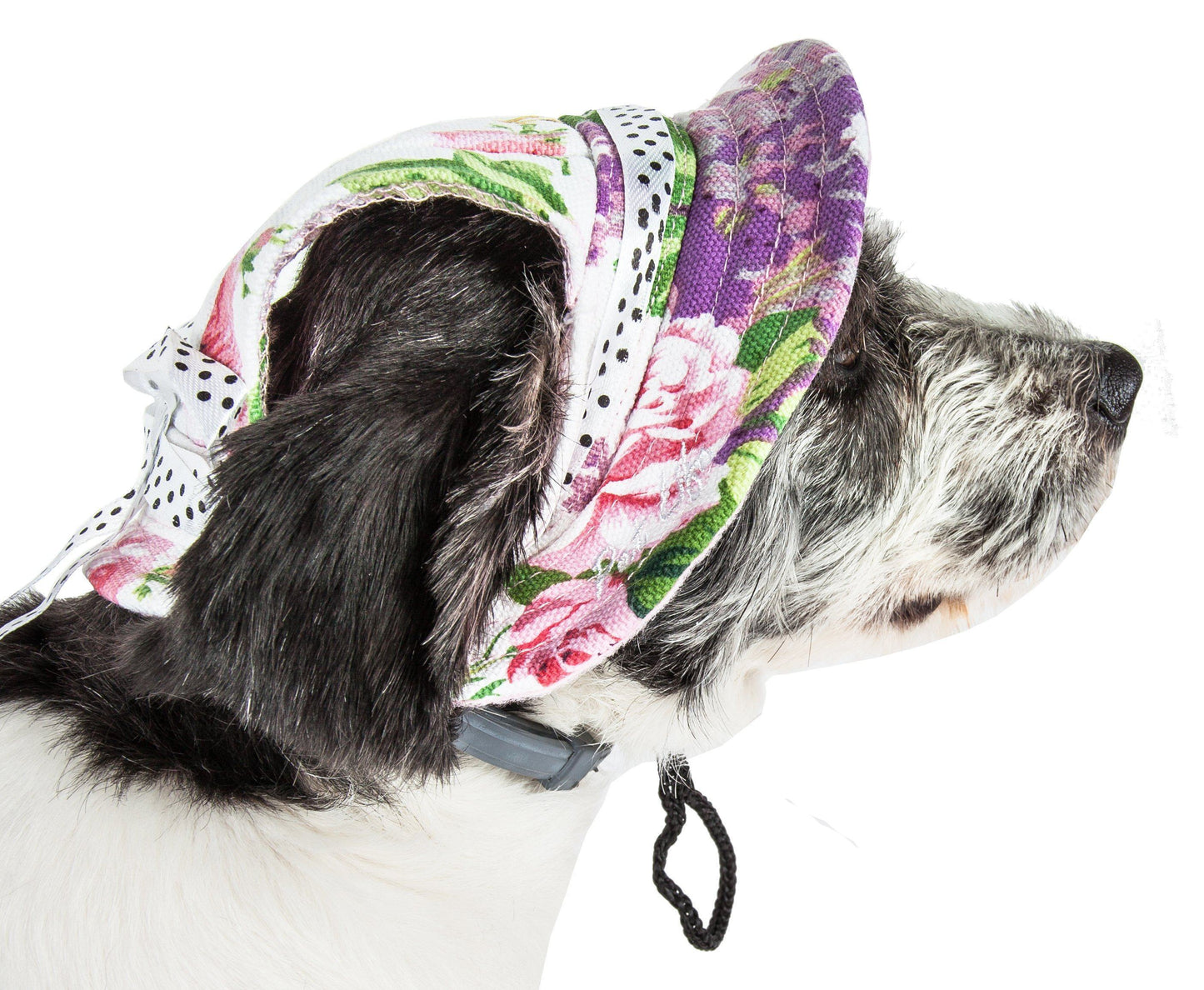 Dog wearing a floral hood with a purple top on a white background
