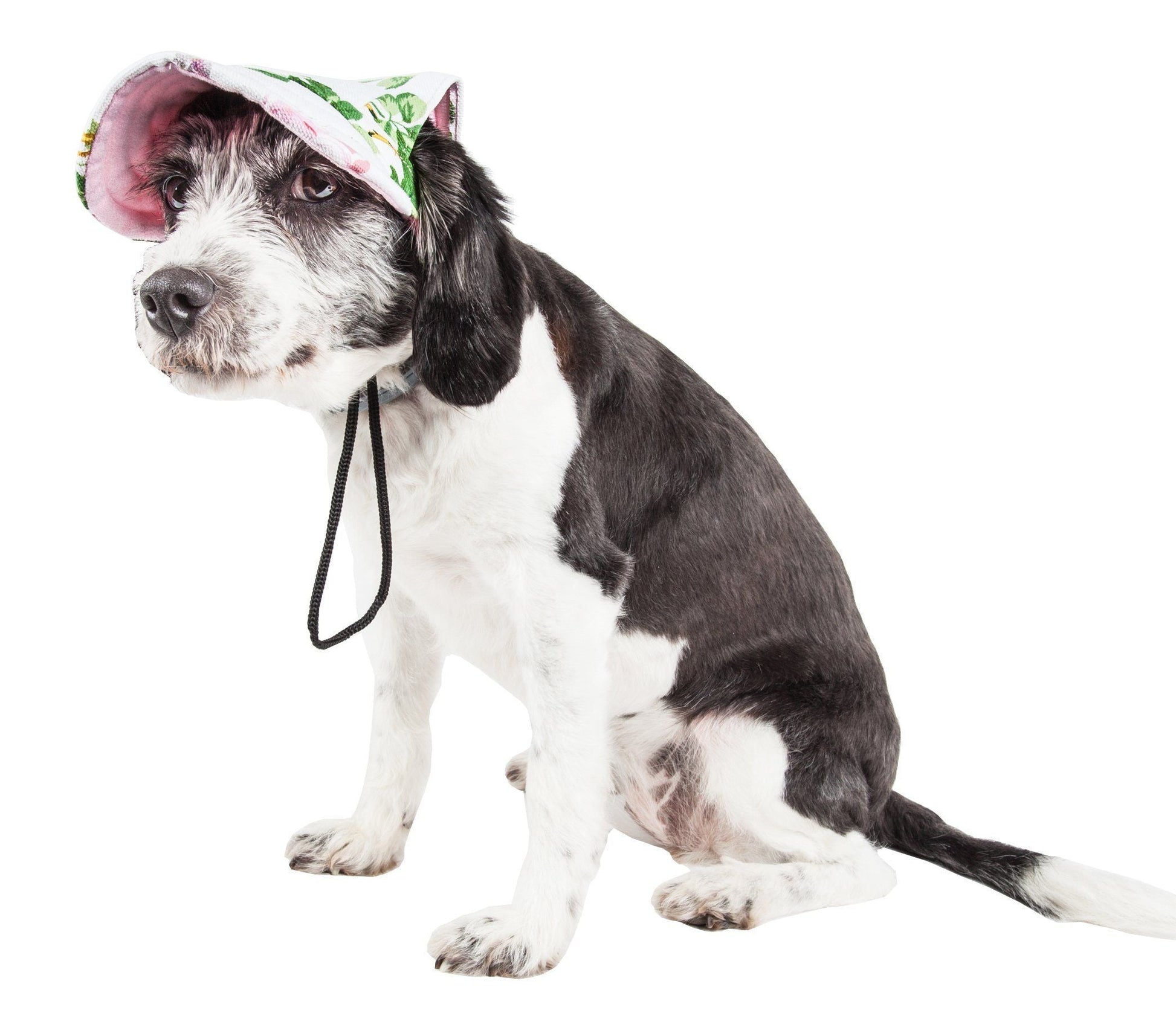 Dog wearing a pink cap with green floral patterns on a white background