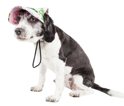 Dog wearing a pink cap with green floral patterns on a white background