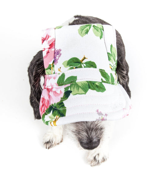Dog wearing a floral-patterned bandana on a white background