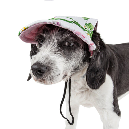 Dog wearing a colorful hat with a white background