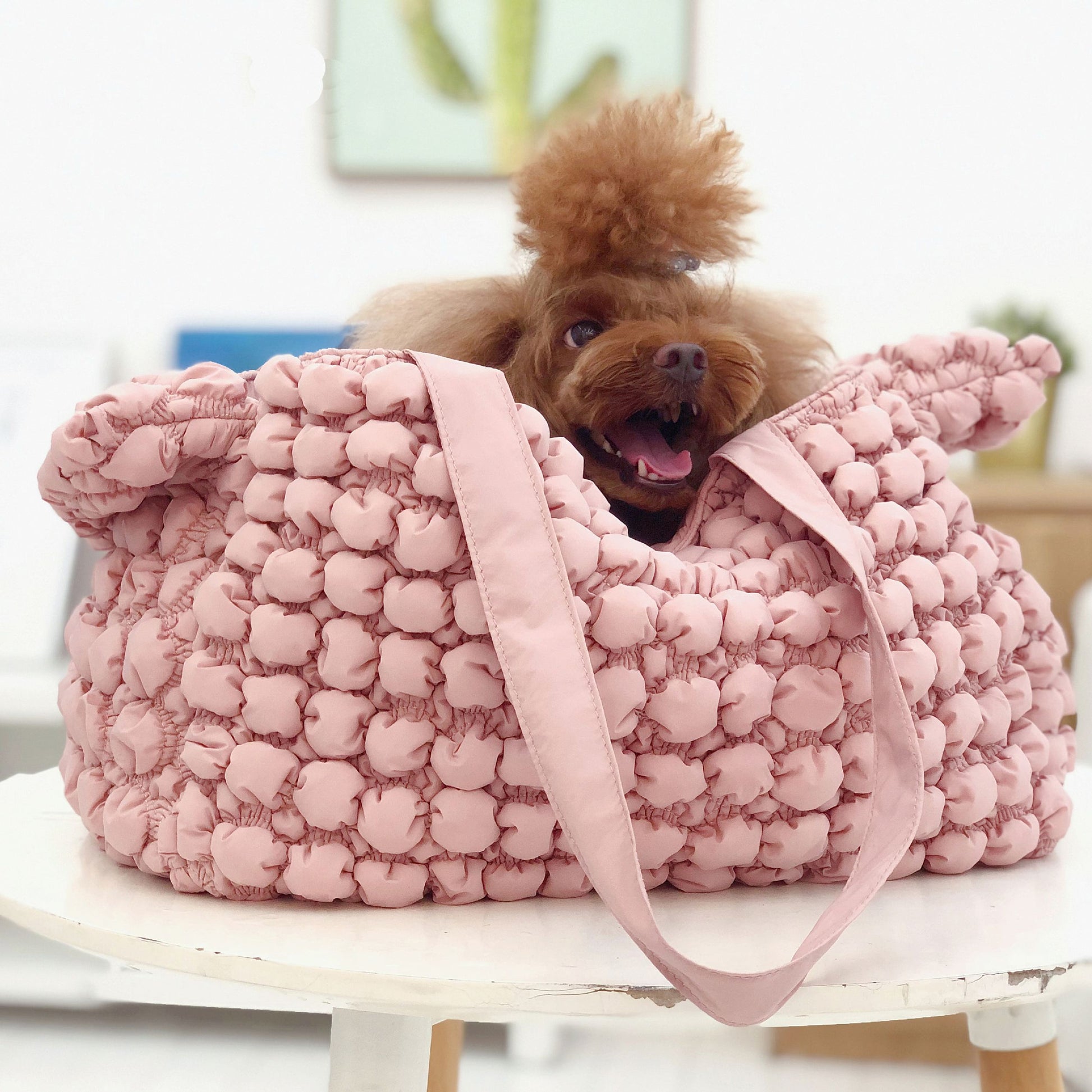 Dog inside a pink textured bag on a white surface