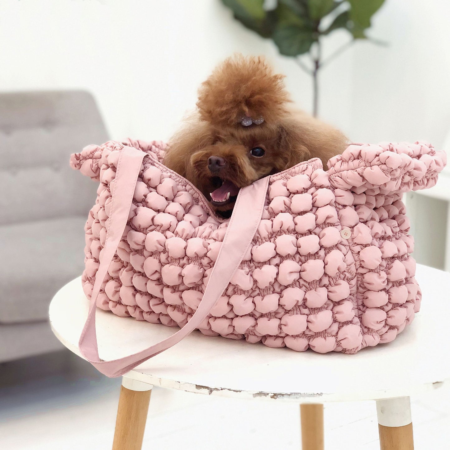 Small brown dog peeking out from a pink textured bag on a white chair.