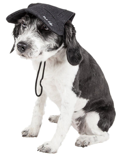 Dog wearing a black cap with a strap on a white background