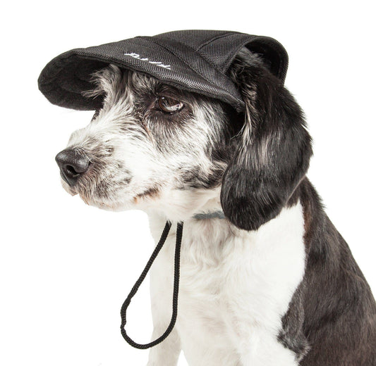 Dog wearing a black cap with a visible brand logo on a white background