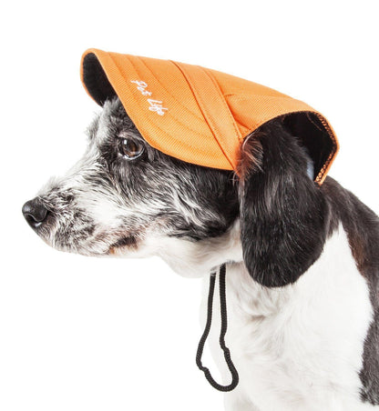 Dog wearing an orange cap with a strap on a white background