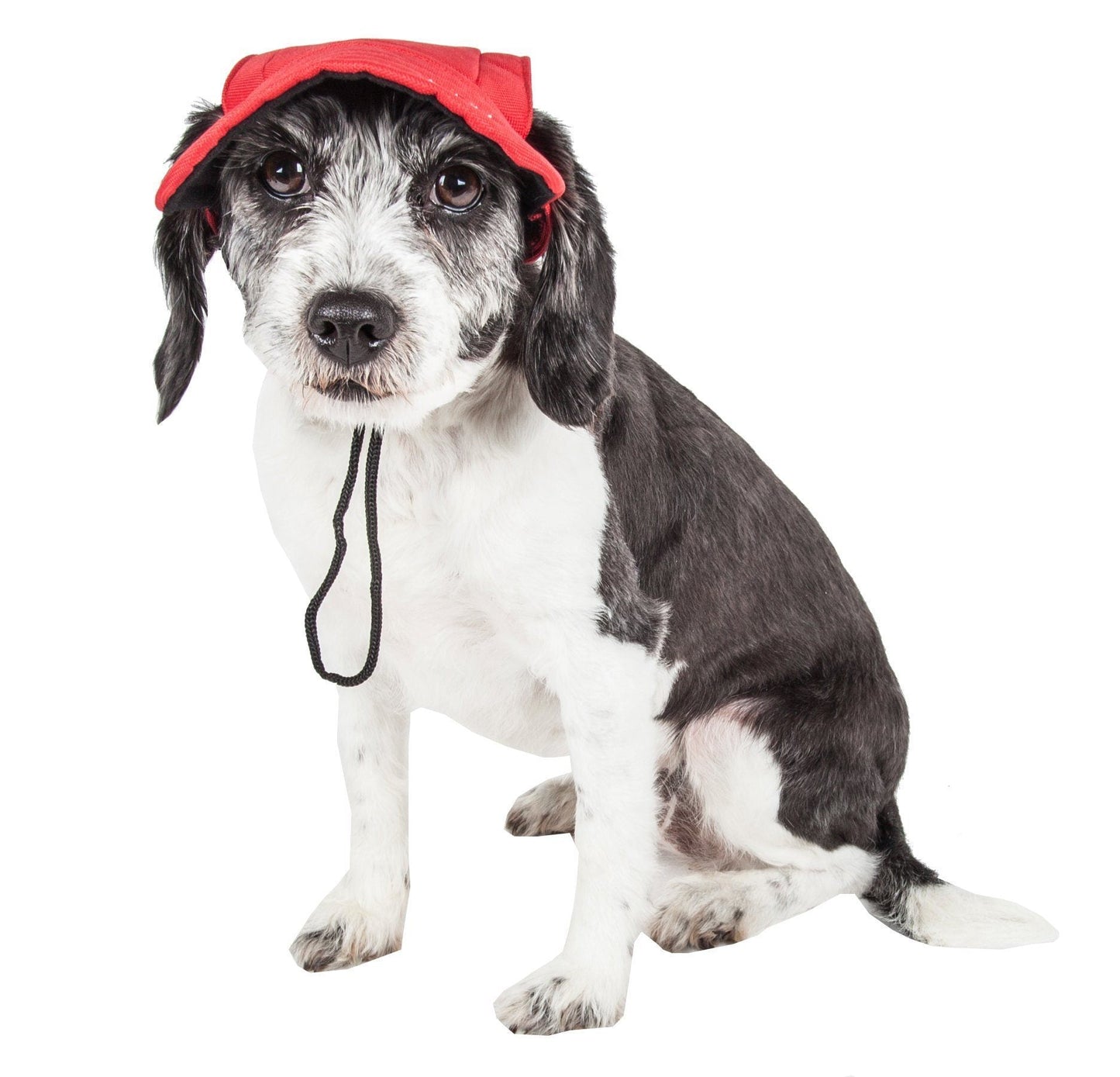 Dog wearing a red cap with a strap on a white background