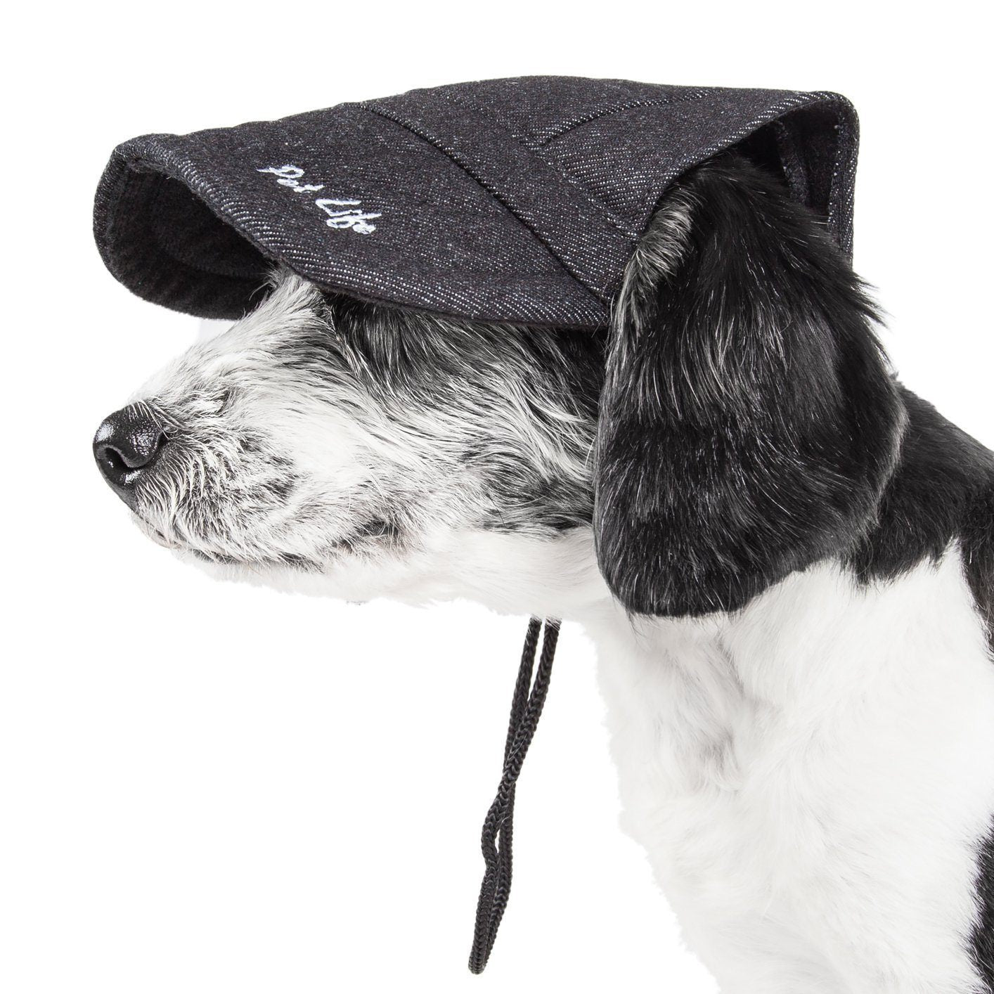 Dog wearing a black cap with 'Pet Life' logo on a white background