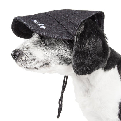 Dog wearing a black cap with 'Pet Life' logo on a white background