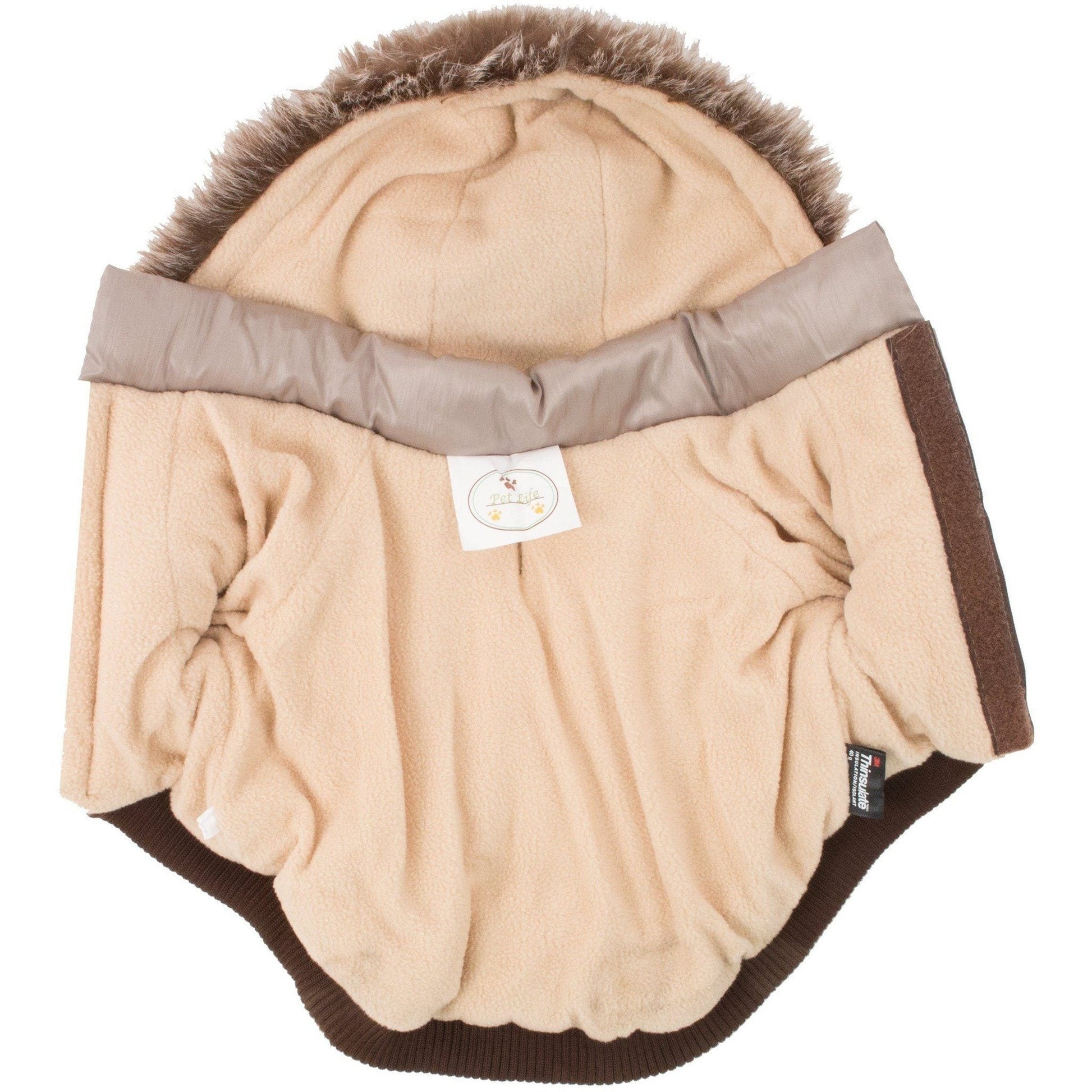 Beige pet coat with brown trim on a white background