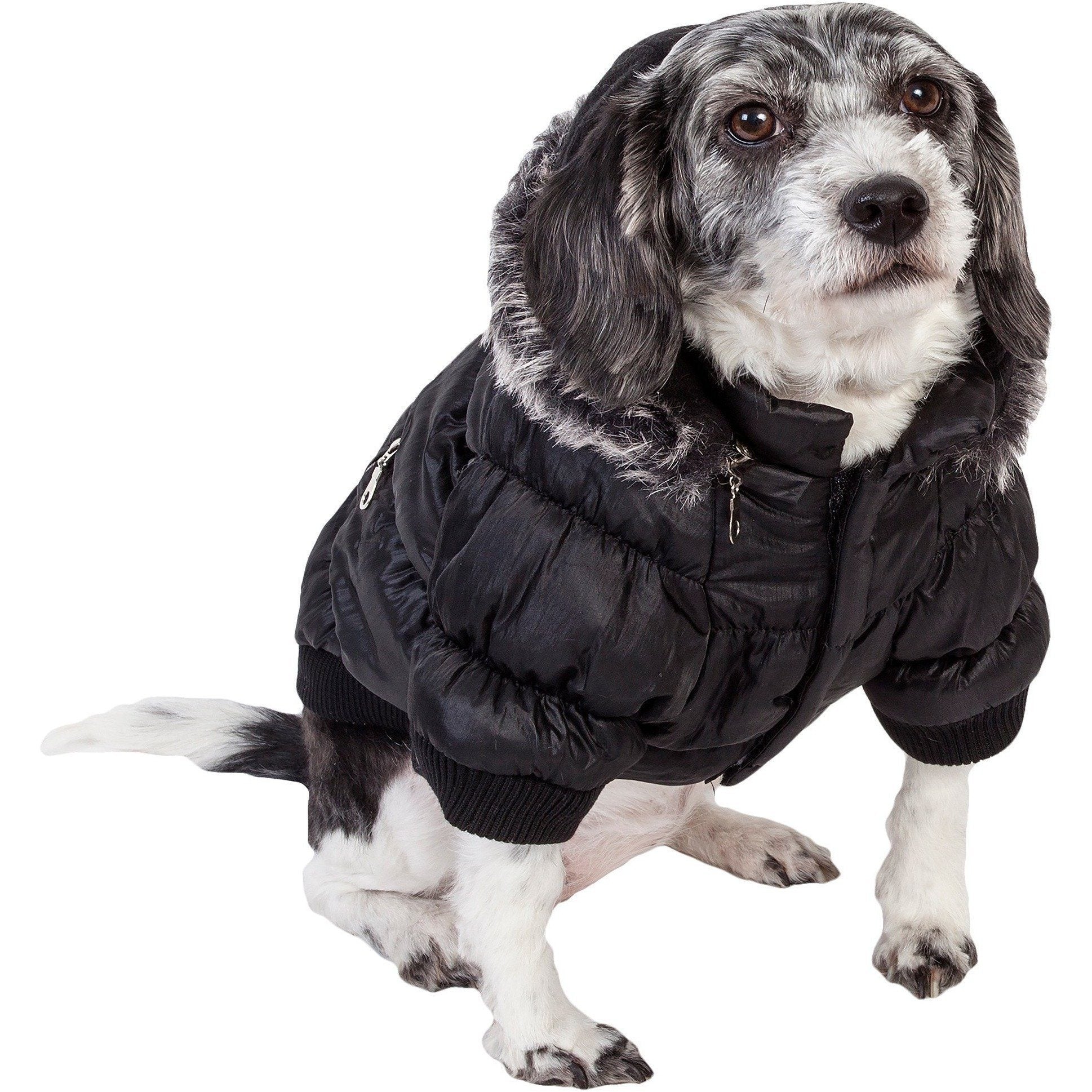 Dog wearing a black puffer coat on a white background