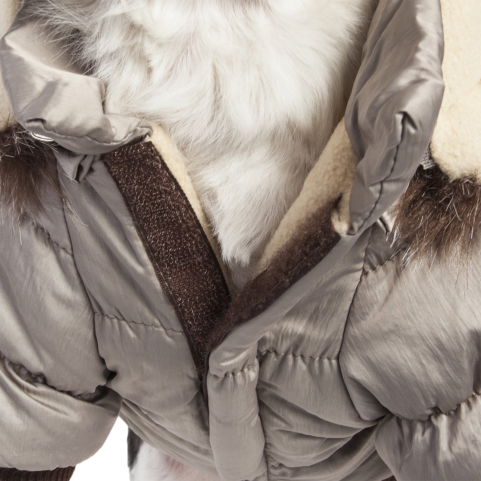Close-up of a dog wearing a beige winter coat with fur trim.