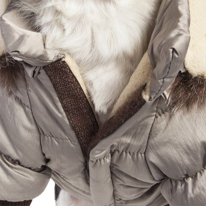 Close-up of a dog wearing a beige winter coat with fur trim.