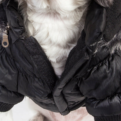 Close-up of a dog wearing a black puffer jacket with white fur lining.