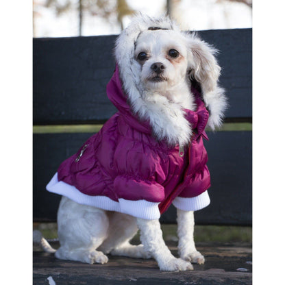 Small white dog wearing a pink coat sitting outdoors.