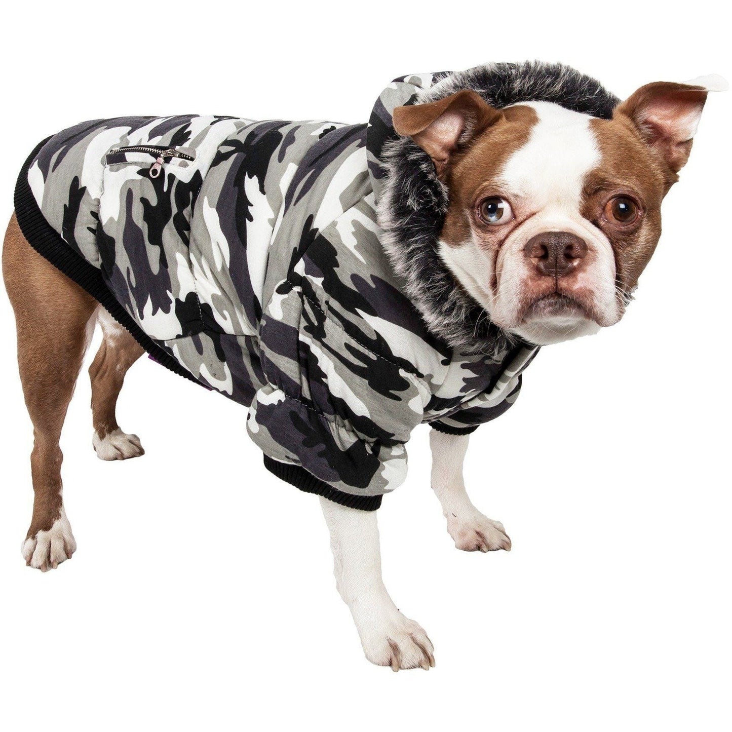 Dog wearing a camouflage hoodie on a white background