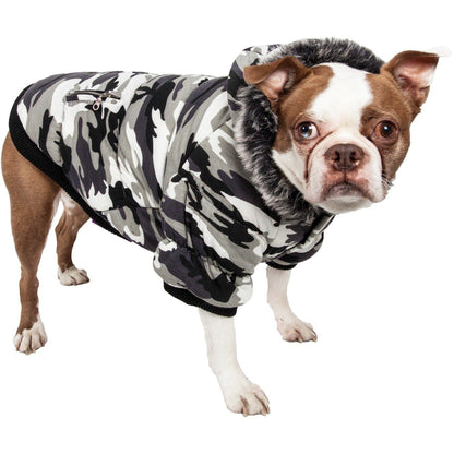 Dog wearing a camouflage hoodie on a white background