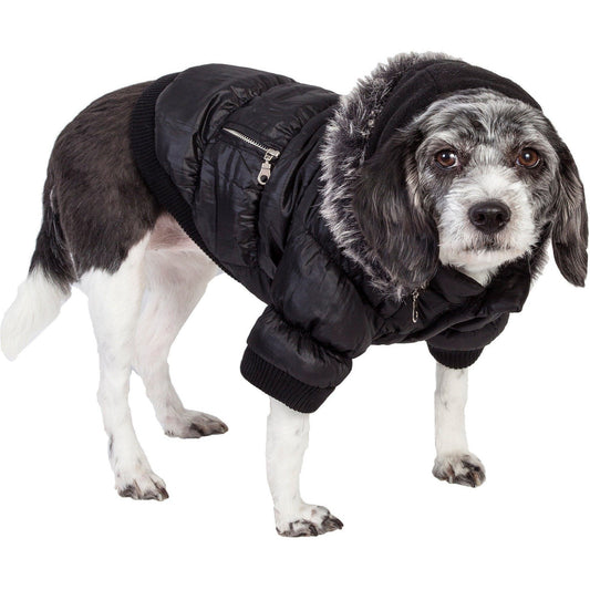 Dog wearing a black puffer coat with a hood on a white background