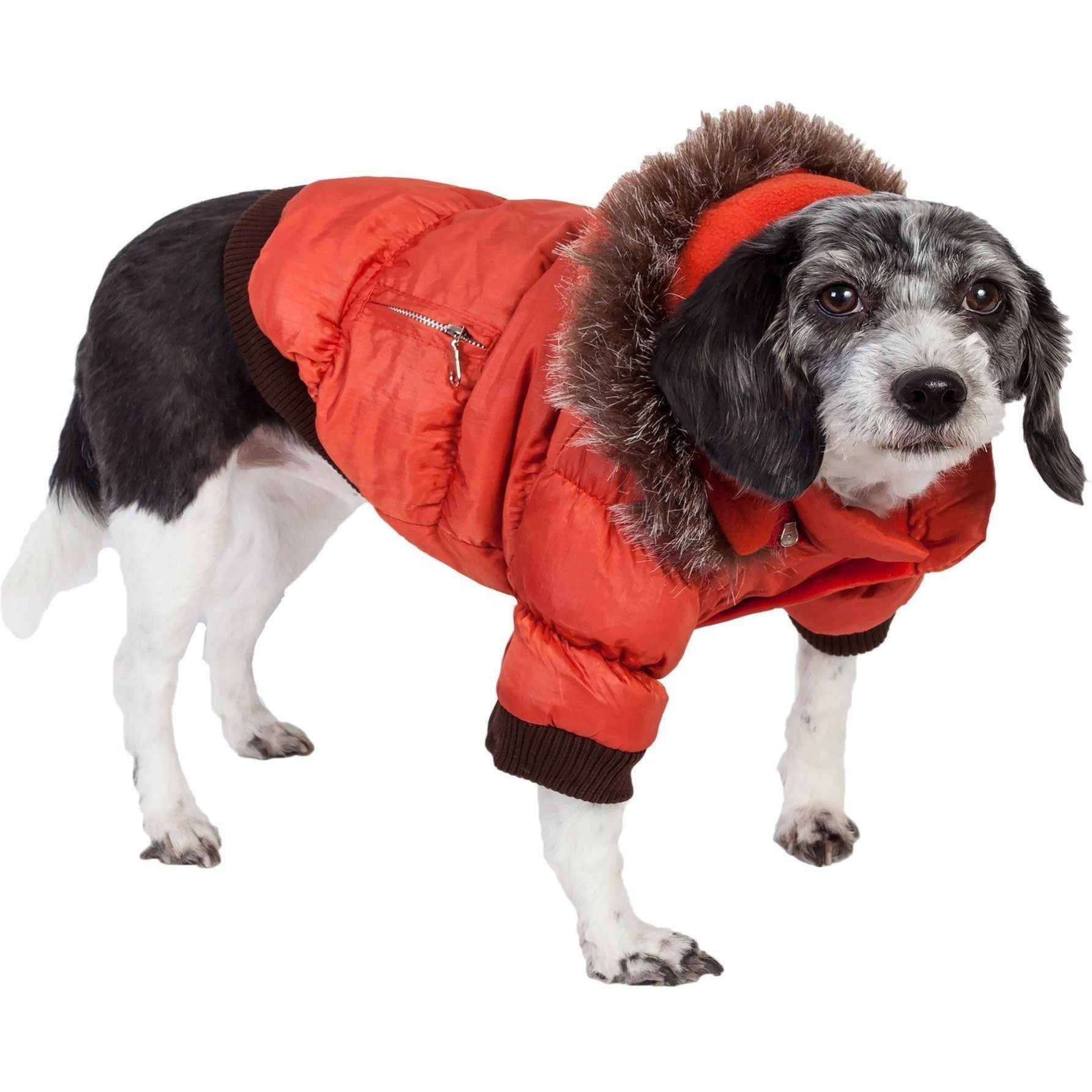 Dog wearing a red puffer jacket with a hood on a white background