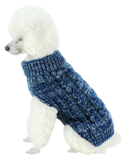 White dog wearing a blue knitted sweater on a white background