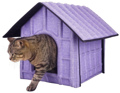 Cat standing in a purple outdoor cat house on a white background