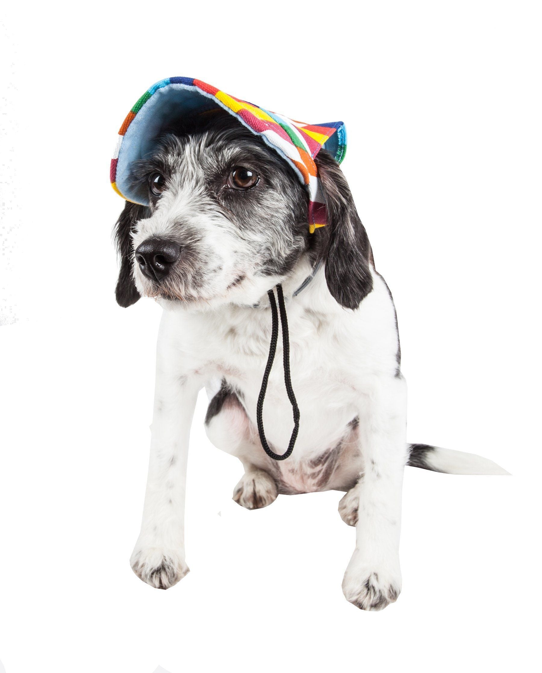 Dog wearing a colorful rainbow hat on a white background